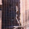 Опубликованное фото