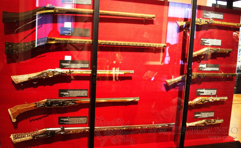 firearms 1