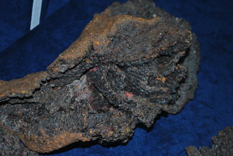 DSC 1019