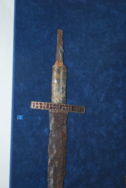 DSC 8004