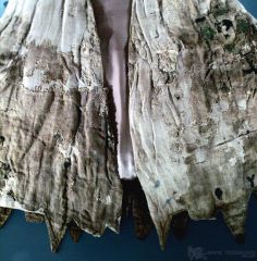 IMG_8334.jpg IMG_8334.jpg