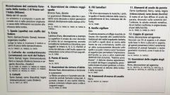 IMG 1281