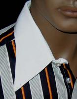 shir1707c.jpg