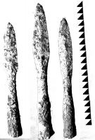 Image9.jpg