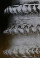124.jpg