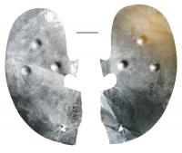 Image11.jpg