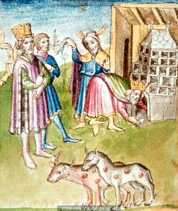 1448 ; 1448 ; Wien ; Österreich ; Wien ; Österreichische Nationalbibliothek ; cod. 2774 ; fol. 49v.JPG