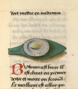 Français 9137, fol. 77, Médecine beurre.jpeg