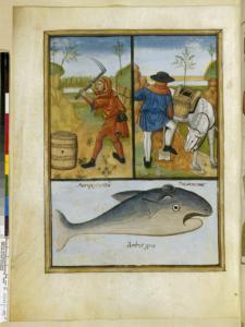 Français 12322, fol. 168v, Extraction du bol d'Arménie.jpg