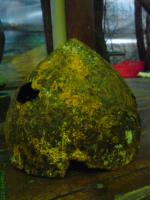 E_DSC00205.JPG