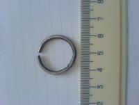 DSC01136.JPG