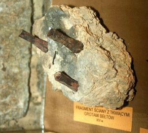 y_655c3b31.jpg