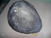 004971924.jpg