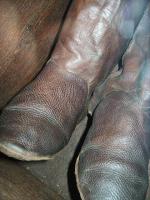 Peitingstiefel.jpg