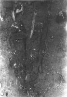 ponozh_insitu_big.jpg