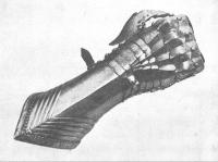 A79Gaunts_001.jpg