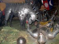 im001804_hotr_dog_in_armor_9286.jpg