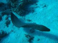 IMG_0191_copy.jpg