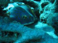 IMG_0262_copy.jpg
