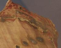 DSCF2317.jpg
