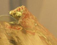 DSCF2684.jpg