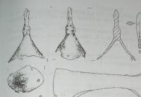 P01.jpg