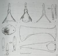 P1.jpg