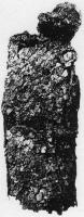 augsburg_mail_scale.jpg
